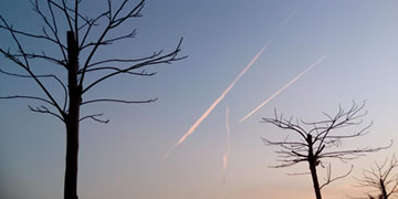 这是一篇测试随机缩略图的文章